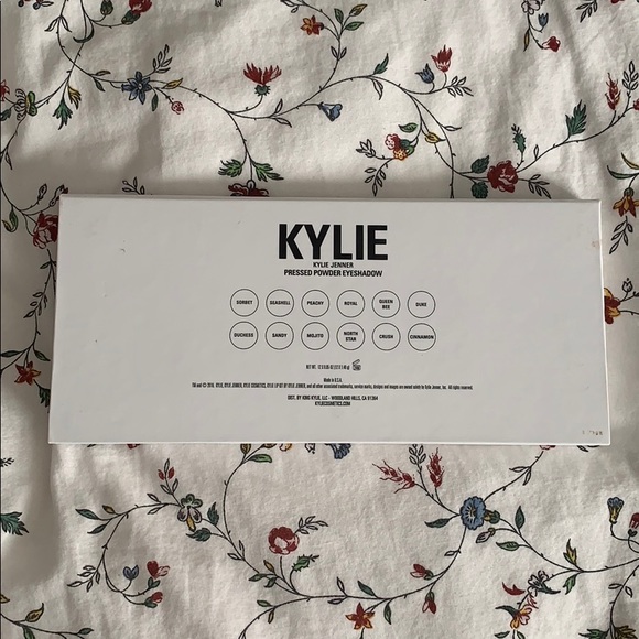 Kylie Jenner Palette - Picture 5 of 5